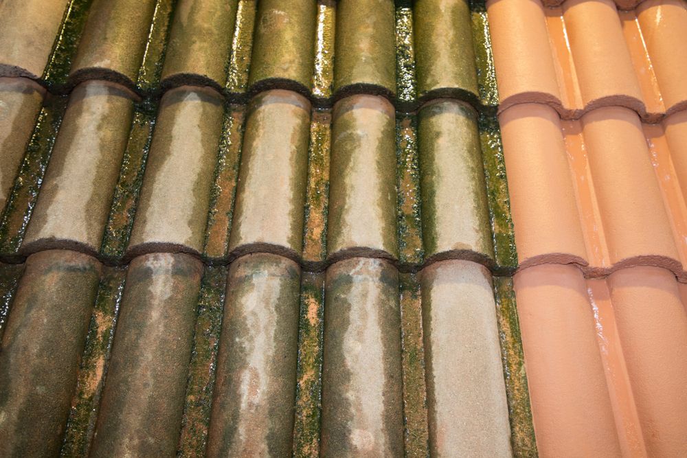 Oud vieze dakpannen laten inspecteren in Schaijk